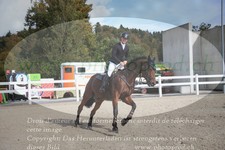 ref. photo 3348735