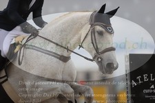 ref. photo 3349191