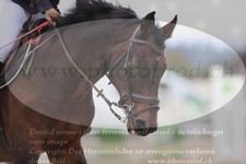 ref. photo 3349307
