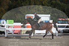 ref. photo 3349380