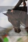 ref. photo 3349413