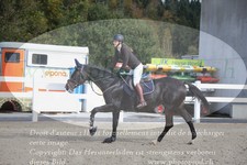 ref. photo 3349517
