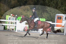 ref. photo 3349785