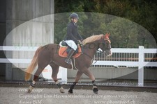 ref. photo 3349812