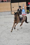 ref. photo 3045802