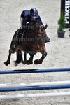 ref. photo 3045840