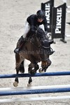 ref. photo 3046004
