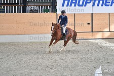 ref. photo 3046370