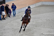 ref. photo 3046371