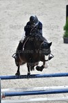 ref. photo 3046929