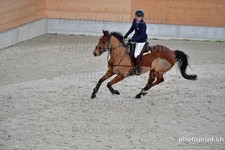ref. photo 3047080
