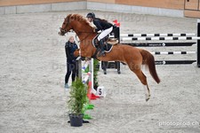 ref. photo 3047126