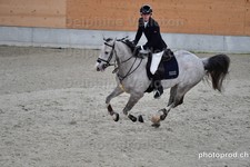 ref. photo 3047847