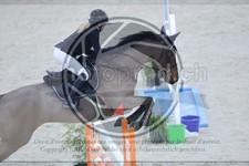 ref. photo 3513336