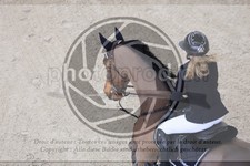 ref. photo 3513343