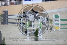 ref. photo 3513353