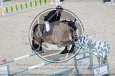 ref. photo 3513365