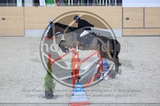 ref. photo 3513366