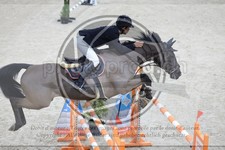 ref. photo 3513397