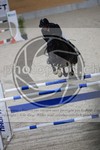 ref. photo 3513398