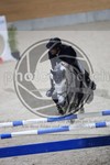 ref. photo 3513403