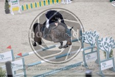 ref. photo 3513445