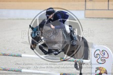 ref. photo 3513458