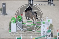 ref. photo 3513463