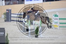 ref. photo 3513466