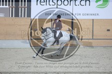 ref. photo 3513470