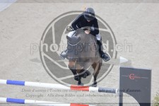ref. photo 3513499