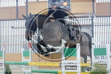 ref. photo 3513503