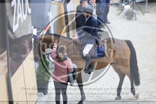ref. photo 3513514