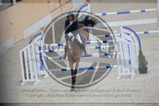 ref. photo 3513524