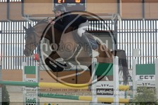 ref. photo 3513530