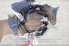 ref. photo 3513540