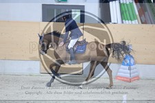 ref. photo 3513549