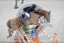 ref. photo 3513551