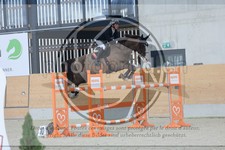 ref. photo 3513572