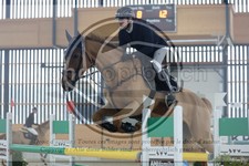 ref. photo 3513587