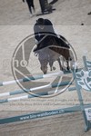 ref. photo 3513596