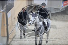 ref. photo 3513670