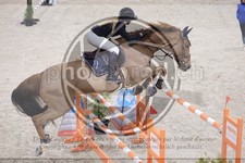 ref. photo 3513696