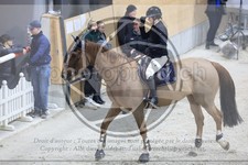 ref. photo 3513704