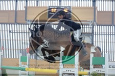 ref. photo 3513721