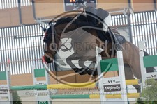 ref. photo 3513746