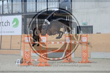 ref. photo 3513749