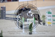 ref. photo 3513768