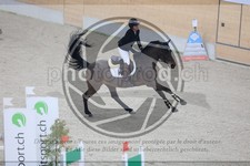 ref. photo 3513775
