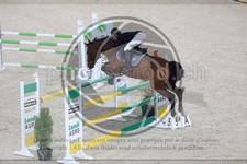 ref. photo 3513794